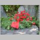 008-011_Herne_Friedhof_Wischerstr.JPG