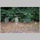 016-006_Bochum_Blumenfriedhof.JPG
